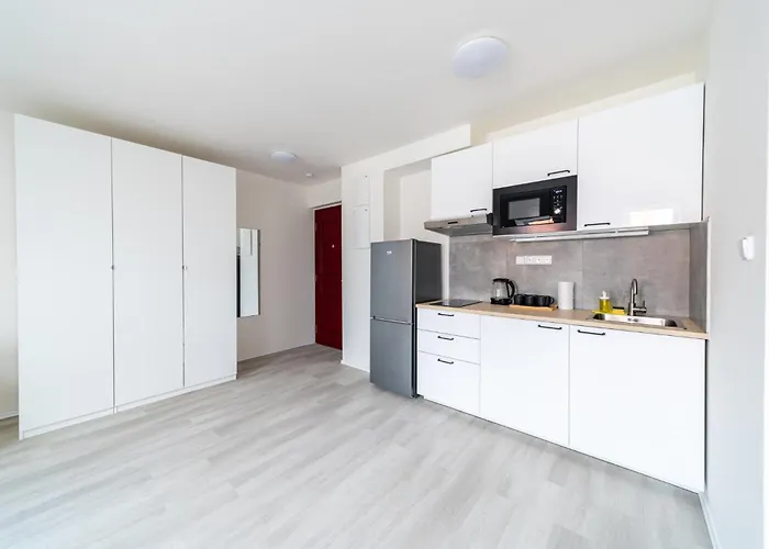 Apartments Borivojova 63