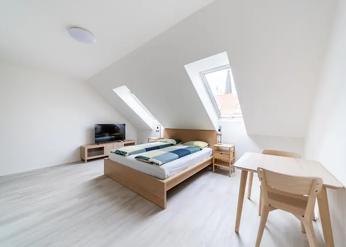 Apartments Borivojova 63