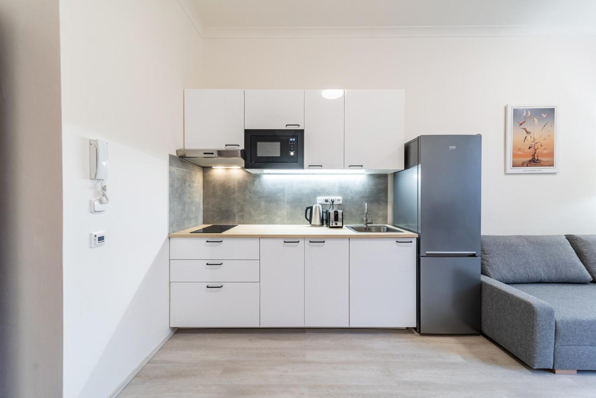 Borivojova 63 Apartmán *