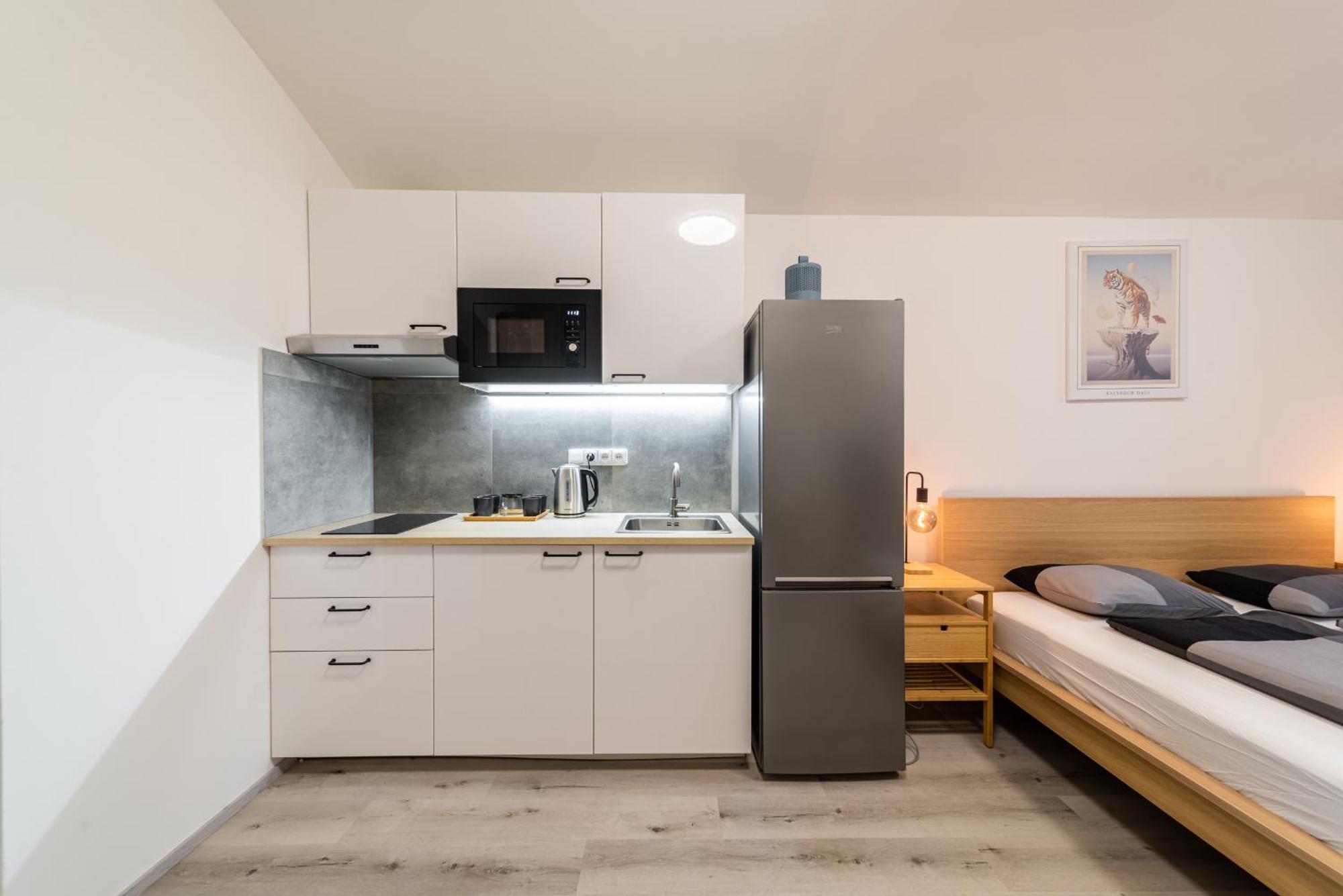 Borivojova 63 Apartmán Praha
