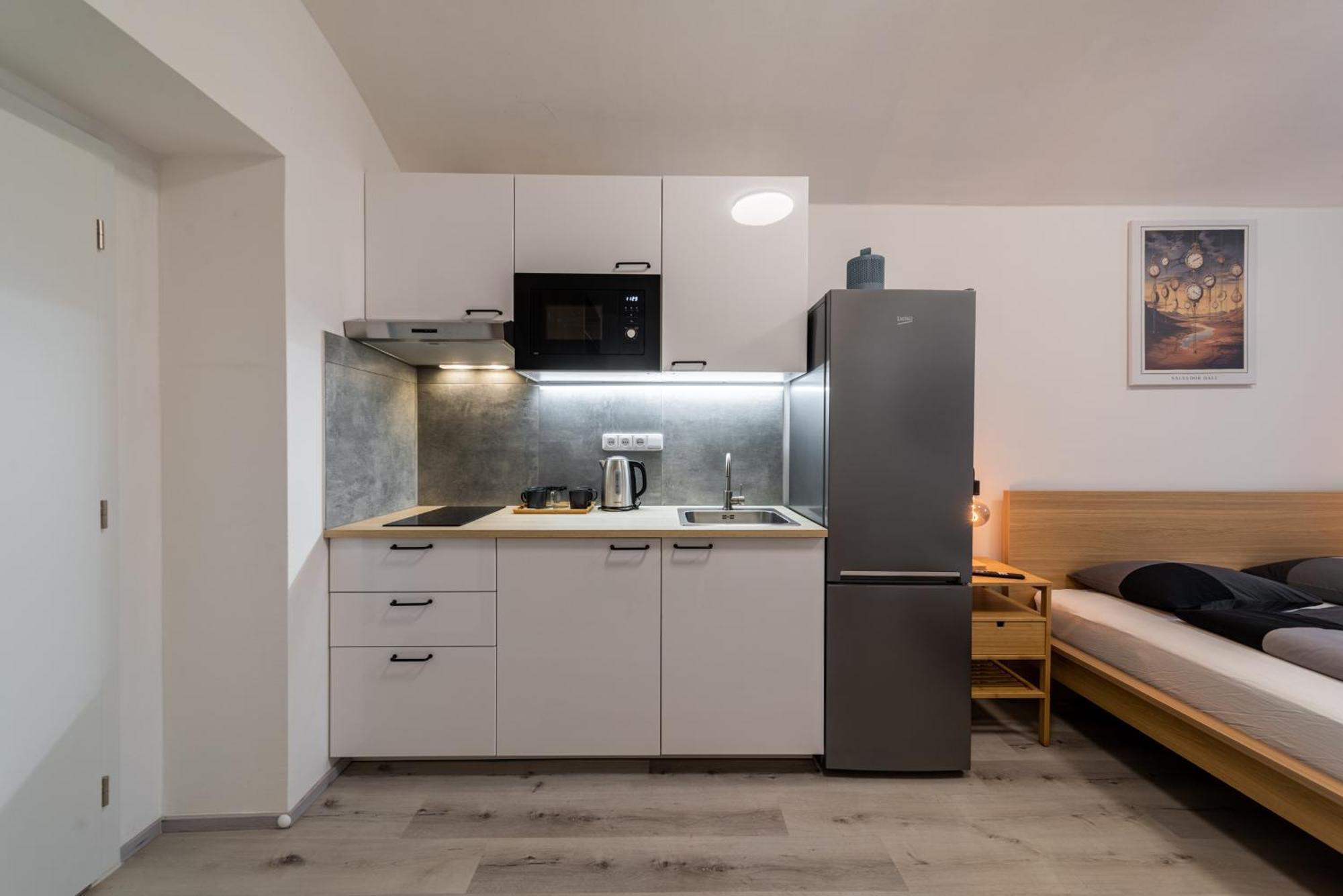 Borivojova 63 Apartmán Praha