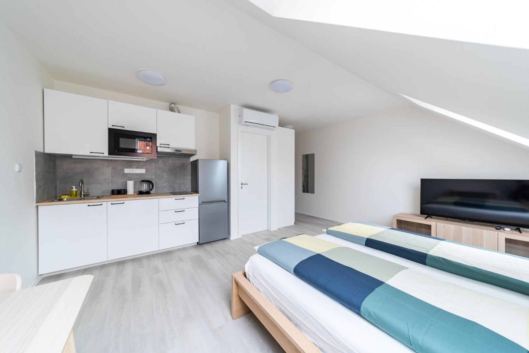 Borivojova 63 Apartmán